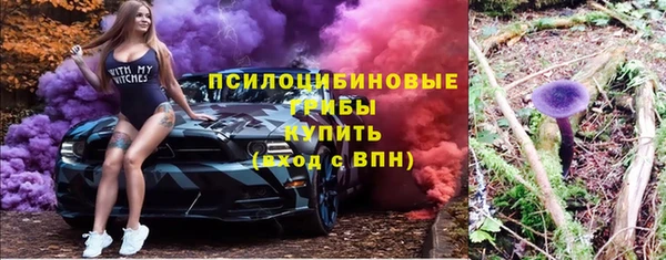гидра Балахна