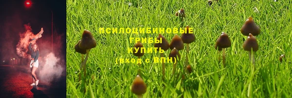 мдпв Балабаново